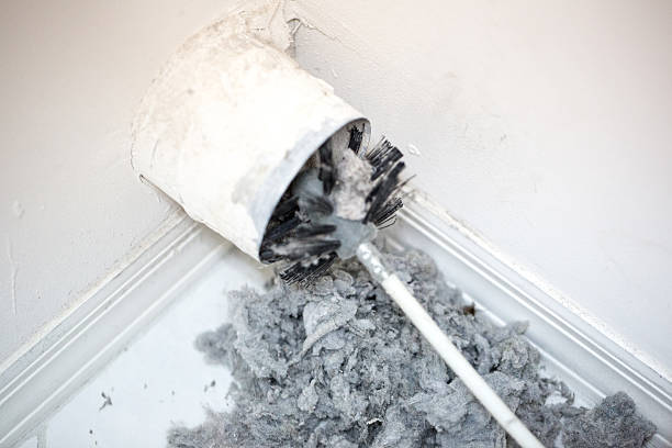 Best Best Air Duct Cleaning Company  in Pleasureville, KY